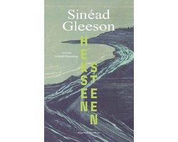 Boek Heksensteen 9789083523965, Boeken, Verzenden, Zo goed als nieuw