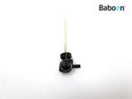 Benzine Kraan Honda CB 250 1977-1981 (CB250T Hawk/Dream), Motoren, Verzenden, Gebruikt