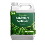 Schefflera vloeibare meststof - 10 liter, Verzenden, Mest