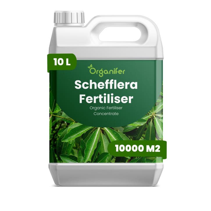 Schefflera vloeibare meststof - 10 liter, Tuin en Terras, Aarde en Mest, Mest, Verzenden