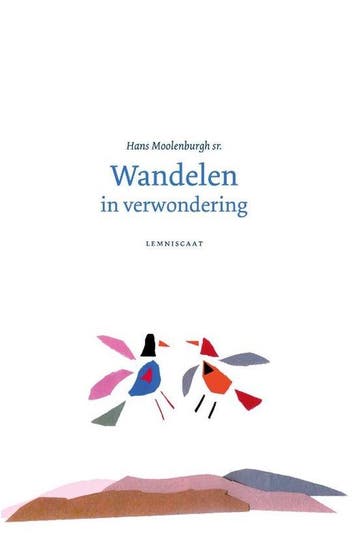 9789047707691 Wandelen in verwondering | Tweedehands, Boeken, Verzenden, Zo goed als nieuw, Hans Moolenburgh Sr.