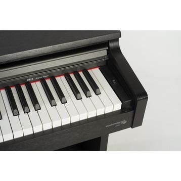 Entrada Home Pianos, Nieuw