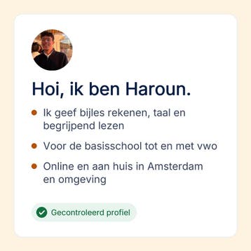 Rekenen bijles in Amsterdam voor de basisschool, Privéles, Bijles