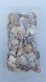 Mantelschelp Jacobsschelp 400 gram, Ophalen of Verzenden, Nieuw