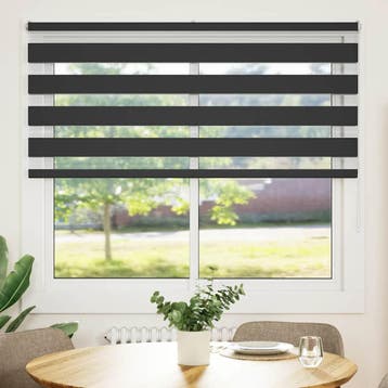 vidaXL Zebra rolgordijn 160x100 cm stofbreedte 155,9 cm, Verzenden, Nieuw, Zwart