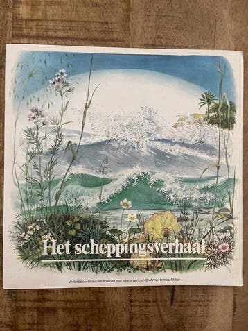 Het scheppingsverhaal - Hinke Baukje Wever 9789026603358, Verzenden, Gelezen, Hinke Baukje Wever