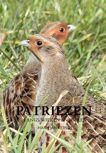 Patriezen | Harm Jan Kerssies | Nieuw, Boeken, Ophalen of Verzenden, Nieuw, Harm Jan Kerssies