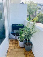 Te huur: Appartement Voorthuizenstraat in Den Haag, Den Haag, Appartement, Zuid-Holland