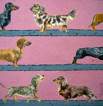 Bazévian DelaCapucinière - Portrait Dachshund dogs Parade 2