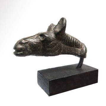 Oud-Romeins Brons Paardenhoofdbevestiging