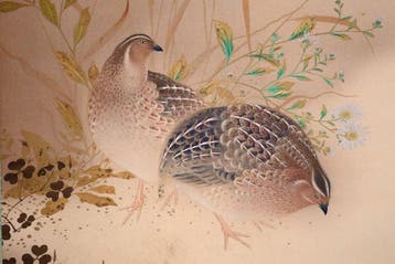 Herfstige wilde bloem en vogel - Twee kwartels - Hangende