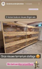 OSB3 terrariums Terrarium Tilburg  ook maatwerk, Nieuw, Terrarium of Paludarium