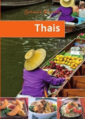 THAIS 9789054264866, Boeken, Verzenden, Zo goed als nieuw