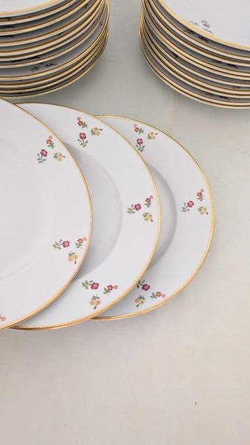 Richard Ginori - Tafelservies voor 12 (24) - Porselein -