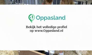 LB zoekt een oppas in Heerde voor 2 kinderen op donderdag., Vacatures