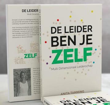 De Leider ben je ZELF - Anita Tamming 9789082732009, Verzenden, Zo goed als nieuw, Anita Tamming