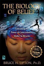 Biology Of Belief 9781401923112 Bruce H. Lipton, Verzenden, Zo goed als nieuw, Bruce H. Lipton