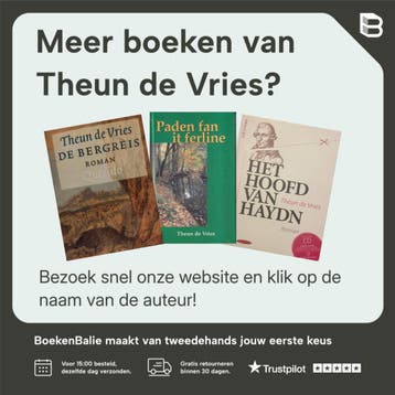 Het meisje met het rode haar - AD Nederlanse klassiekers, Boeken, Verzenden, Zo goed als nieuw, Theun de Vries