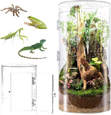 Acryl Terrarium Cilindrisch | Tweedekansje | OP=OP, Dieren en Toebehoren, Spin of Schorpioen