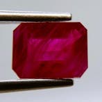 1 pcs Rood Robijn - 1.41 ct - International Gemological, Sieraden, Tassen en Uiterlijk, Edelstenen, Nieuw