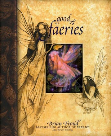Good Faeries Bad Faeries | Brian Froud | Nieuw, Boeken, Ophalen of Verzenden, Nieuw, Brian Froud