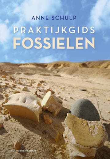 Praktijkgids Fossielen | Anne Schulp | Nieuw, Boeken, Ophalen of Verzenden, Nieuw, Anne Schulp