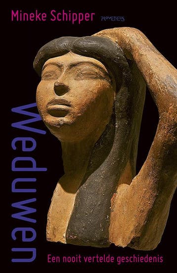 Weduwen (9789044645989, Mineke Schipper), Verzenden, Nieuw