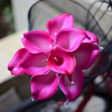 Calla Real Touch Fuchsia 7 cm 37 cm lang per stuk, Ophalen of Verzenden, Nieuw
