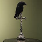 Kraai op Kruis Taxidermie Opgezette Dieren By Max, Verzamelen, Dierenverzamelingen, Ophalen of Verzenden, Nieuw, Vogel, Opgezet dier