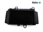 Radiateur Yamaha XTZ 660 Tenere 1991-1999 (XTZ660), Verzenden, Gebruikt