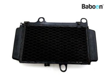 Radiateur Yamaha XTZ 660 Tenere 1991-1999 (XTZ660), Verzenden, Gebruikt