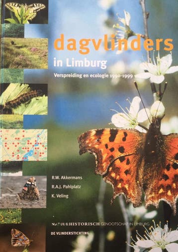 Dagvlinders in Limburg - R.W. Akkermans 9789074508100, Boeken, Verzenden, Gelezen, R.W. Akkermans