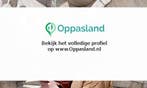 Narine zoekt een oppas in Amsterdam voor 1 kind., Vacatures, Vacatures | Thuiswerk