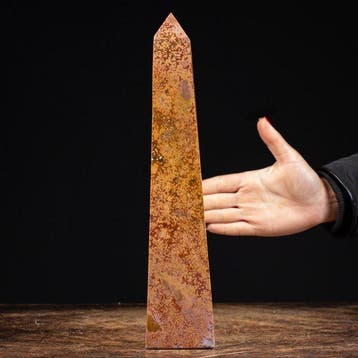 Extreem zeldzaam - Orbicularis Jasper - Antsirabe Regio -