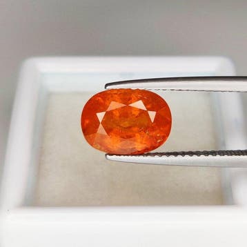1 pcs Oranje Spessartiet - 4.87 ct - nternational Colored, Nieuw