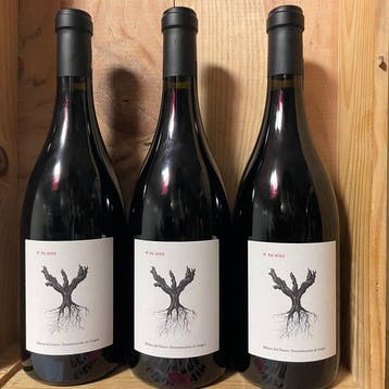 2022 Dominio de Pingus, Psi - Ribera del Duero - 3 Flessen, Nieuw