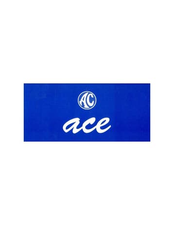 2000 AC ACE V8 BROCHURE ENGELS, Nieuw, Author