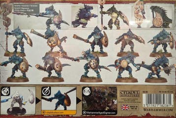 Seraphon Saurus Warriors (Warhammer Age of Sigmar nieuw), Hobby en Vrije tijd, Ophalen of Verzenden, Nieuw