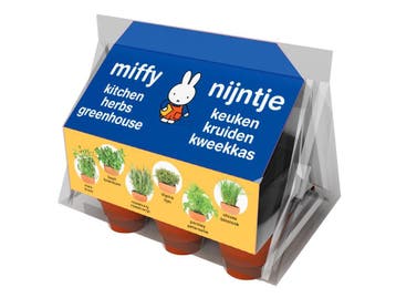 Nijntje kruiden minikas - kweekset  van €13,95 voor €6,98, Ophalen of Verzenden, Nieuw