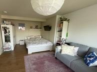 Kamer Rijnstraat in Groningen, Huizen en Kamers, Huizen te huur, Overige soorten, Groningen