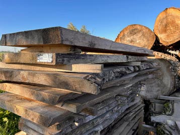 5X Boomstambladen, complete partij 270,- REF 800, Doe-het-zelf en Verbouw, Nieuw, Ophalen of Verzenden, 250 tot 300 cm, Plank