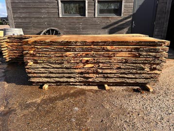 9X Boomstambladen, populier, complete partij 870,- REF 784, Nieuw, Ophalen of Verzenden, 200 tot 250 cm, Plank