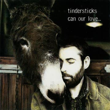 Tindersticks - Can Our Love..., Ophalen of Verzenden, Zo goed als nieuw