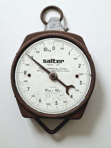 Salter - Salter - Balans of weegschaal - 235 - Metaal -