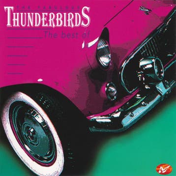 The Fabulous Thunderbirds - The Best Of, Ophalen of Verzenden, Gebruikt