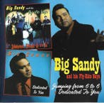cd - Big Sandy And His Fly-Rite Boys - Jumping From 6 To..., Verzenden, Zo goed als nieuw