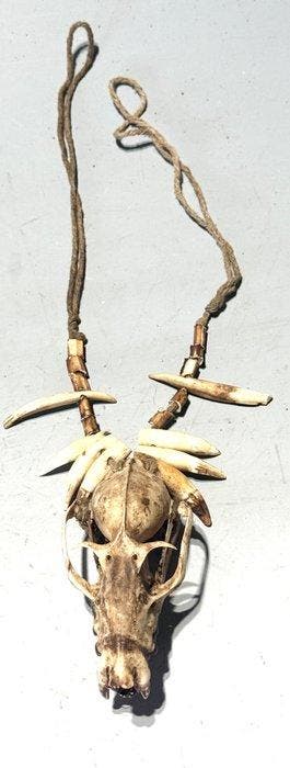 Korowai-halsketting met possumschedel en dierentanden –
