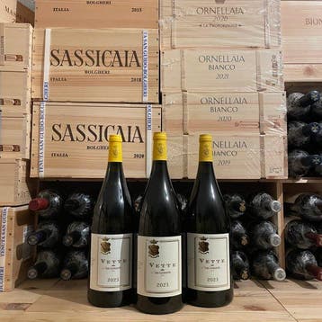 2025 San Leonardo, Sauvignon Blanc Vette - Trentino IGT -, Nieuw