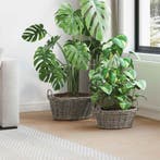 vidaXL Plantenmand met opslag 2 pcs Grijs Lacak Riet, Verzenden, Nieuw