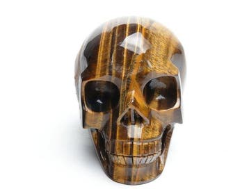 Tijgeroog Schedel - Hoogte: 10 cm - Breedte: 10.5 cm- 980 g